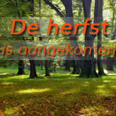 De herfst in uw interieur! - Alterego Design